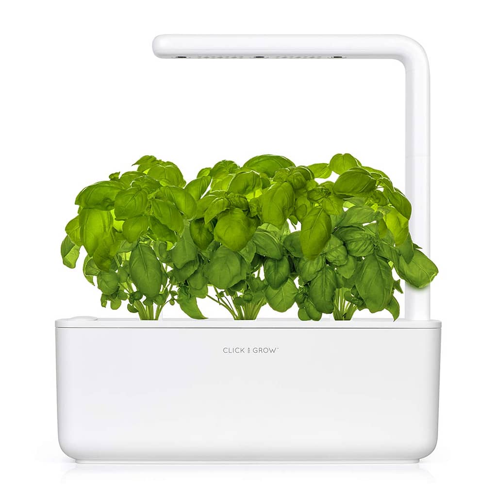 tabletop hydroponic planter with plants