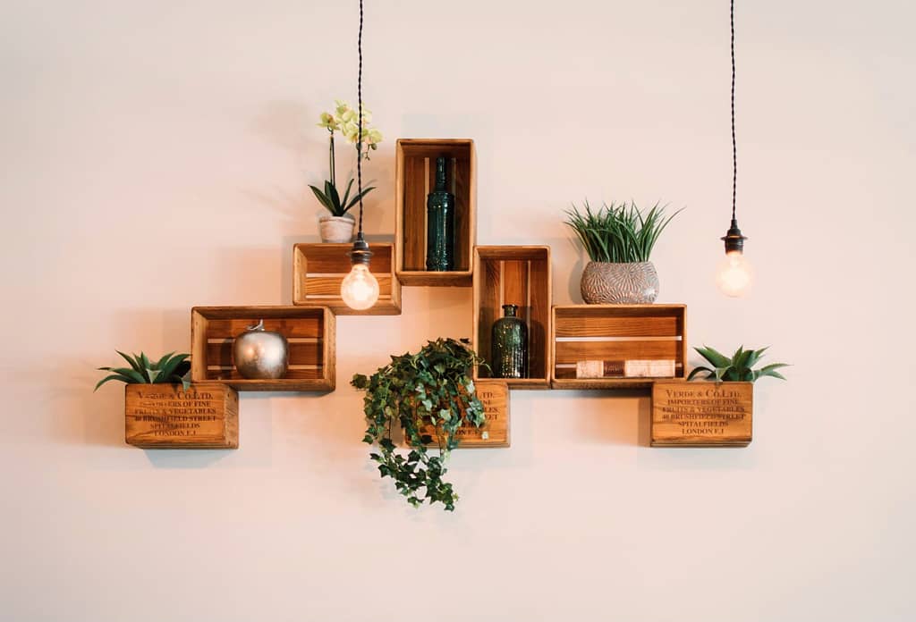 wooden crates with indoor plants to enhance home decor