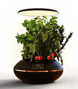 table top hydroponics gardening system
