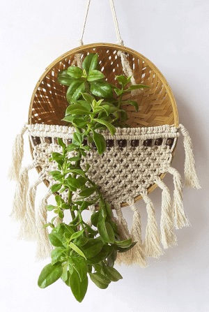 macrame and bamboo planter with a plant hung on a wall