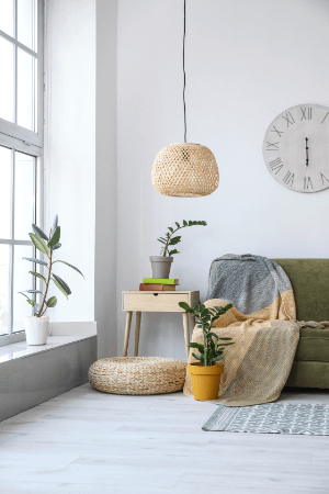 house plants arranged aesthetically in living room