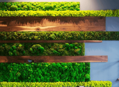 green moss wall with wooden elements