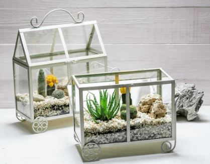 two cart shaped terrariums-one open and one closed showing aesthetically arranged plants