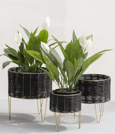 3 black cane natural planters arranged for a bohemian look