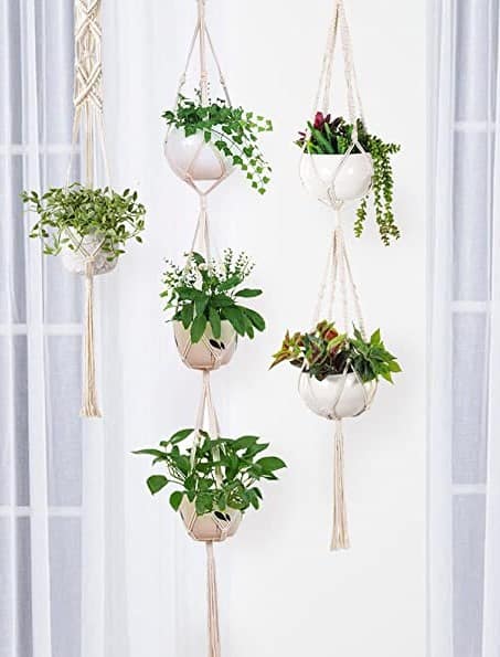 hanging macrame planters with plants to enhance decor of a room