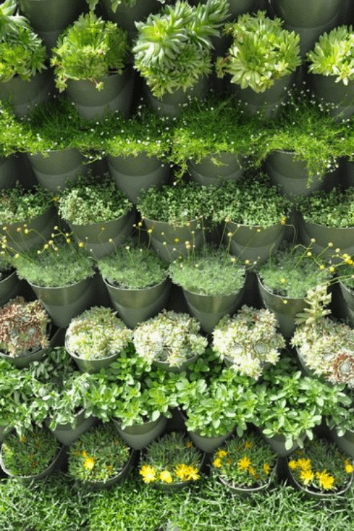 an example of vertical gardening with tiered planters