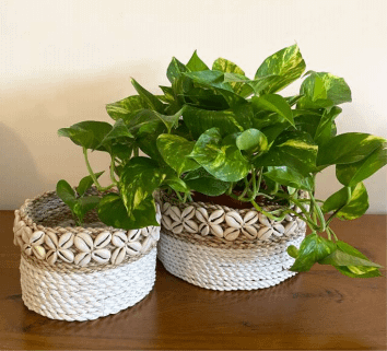 white shell & natural jute planters