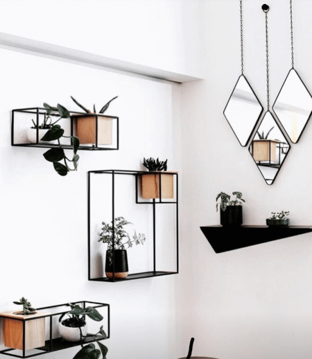 plants on wall shelves to enhance wall decor