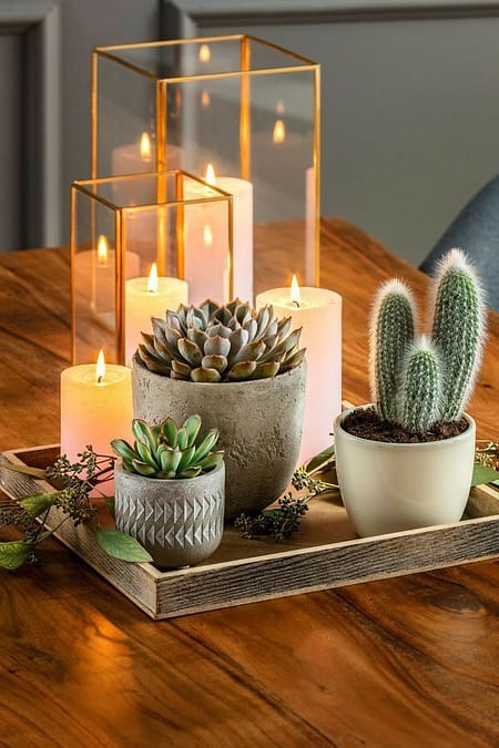 coffee table vignette with candles and plants